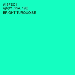 #15FEC1 - Bright Turquoise Color Image